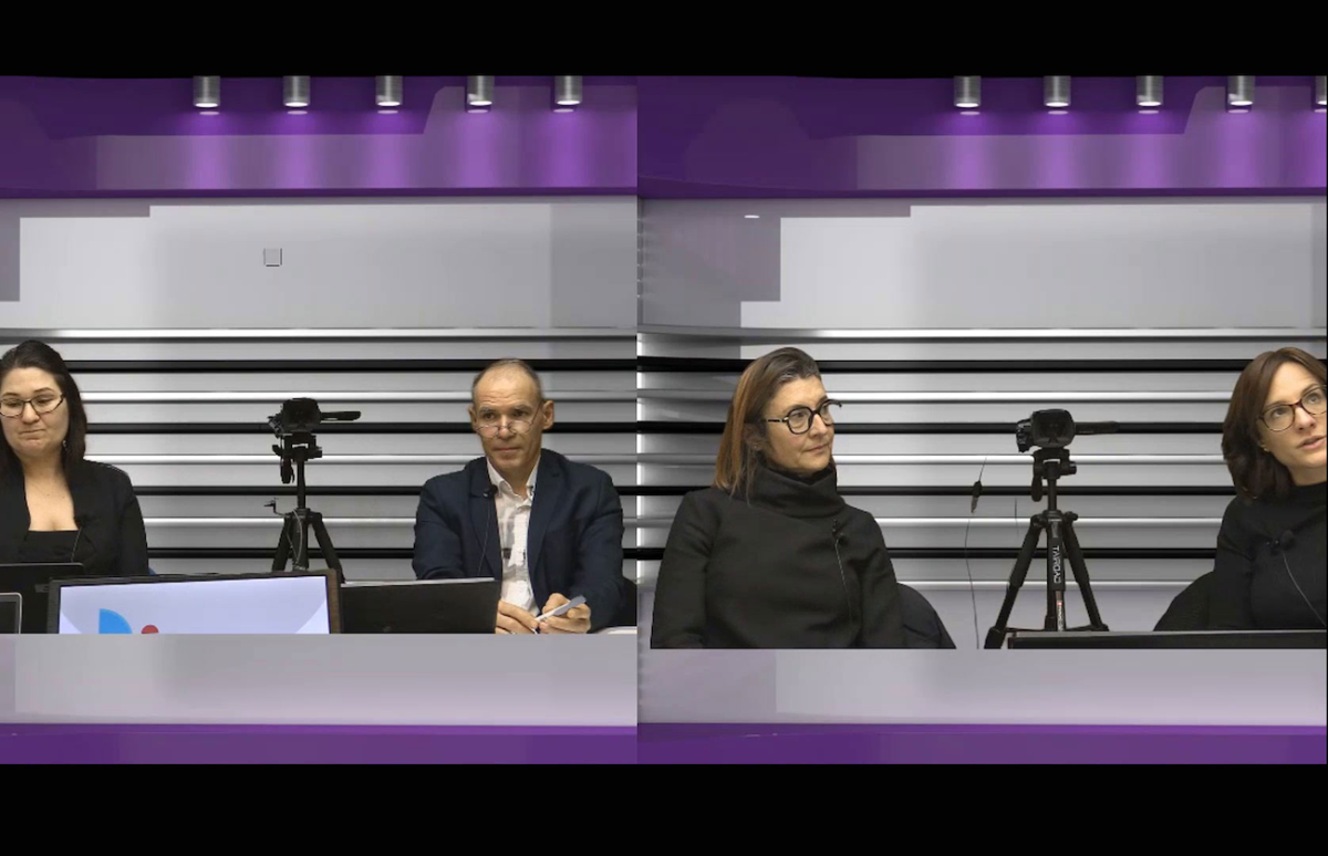 photo des participants du webinaire