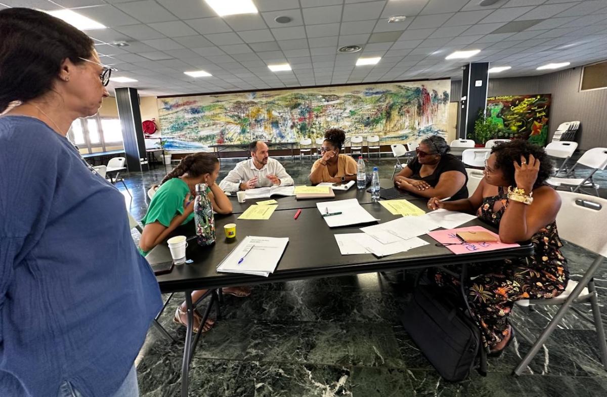 Sous groupe de travail lors de la matinée d'échange à la Réunion le 11 avril